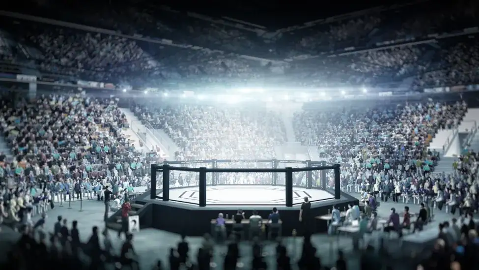 Dicas para apostar no UFC.